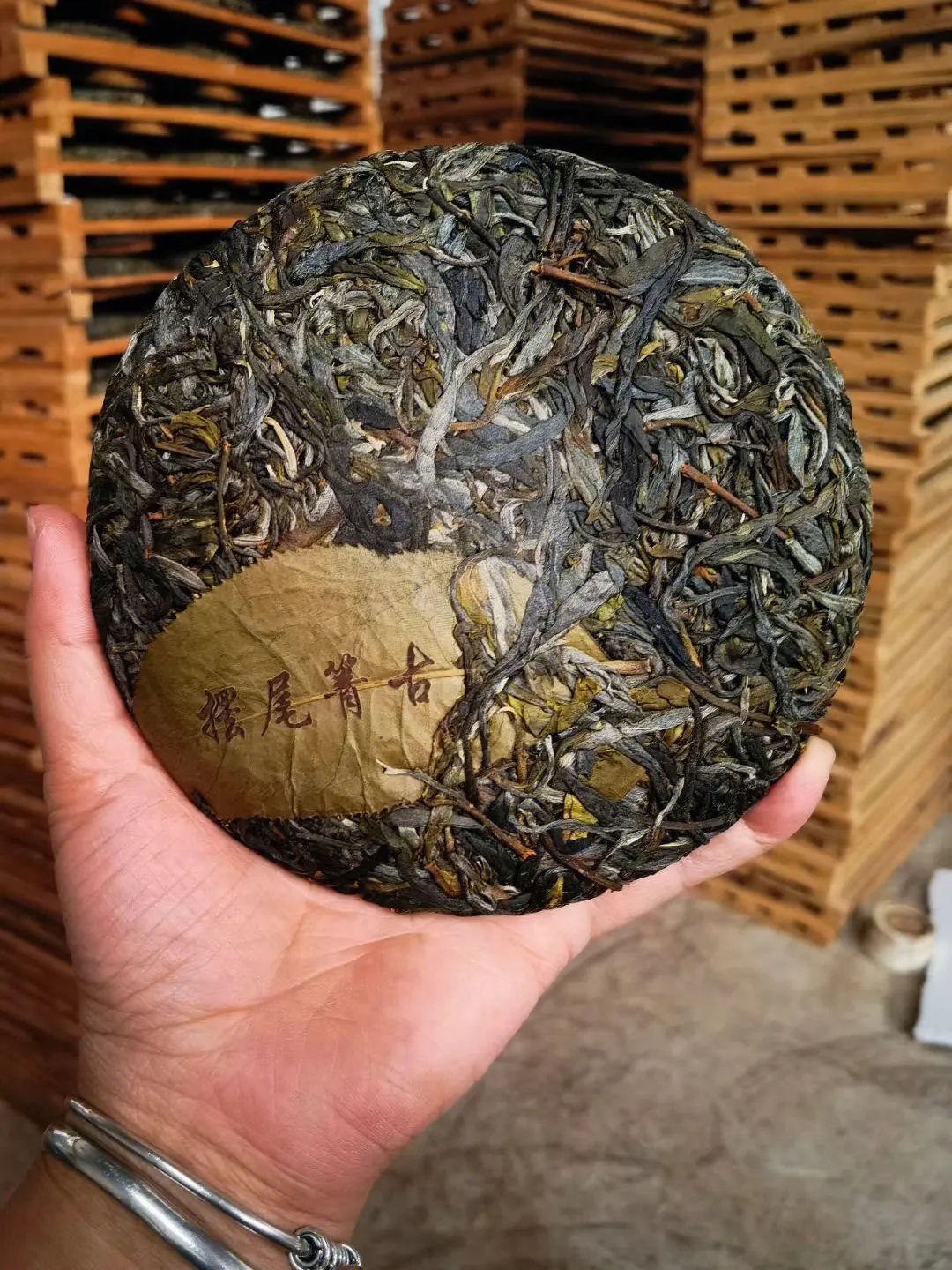 2023年寧洱擺尾箐古樹春茶品質(zhì)怎么樣？