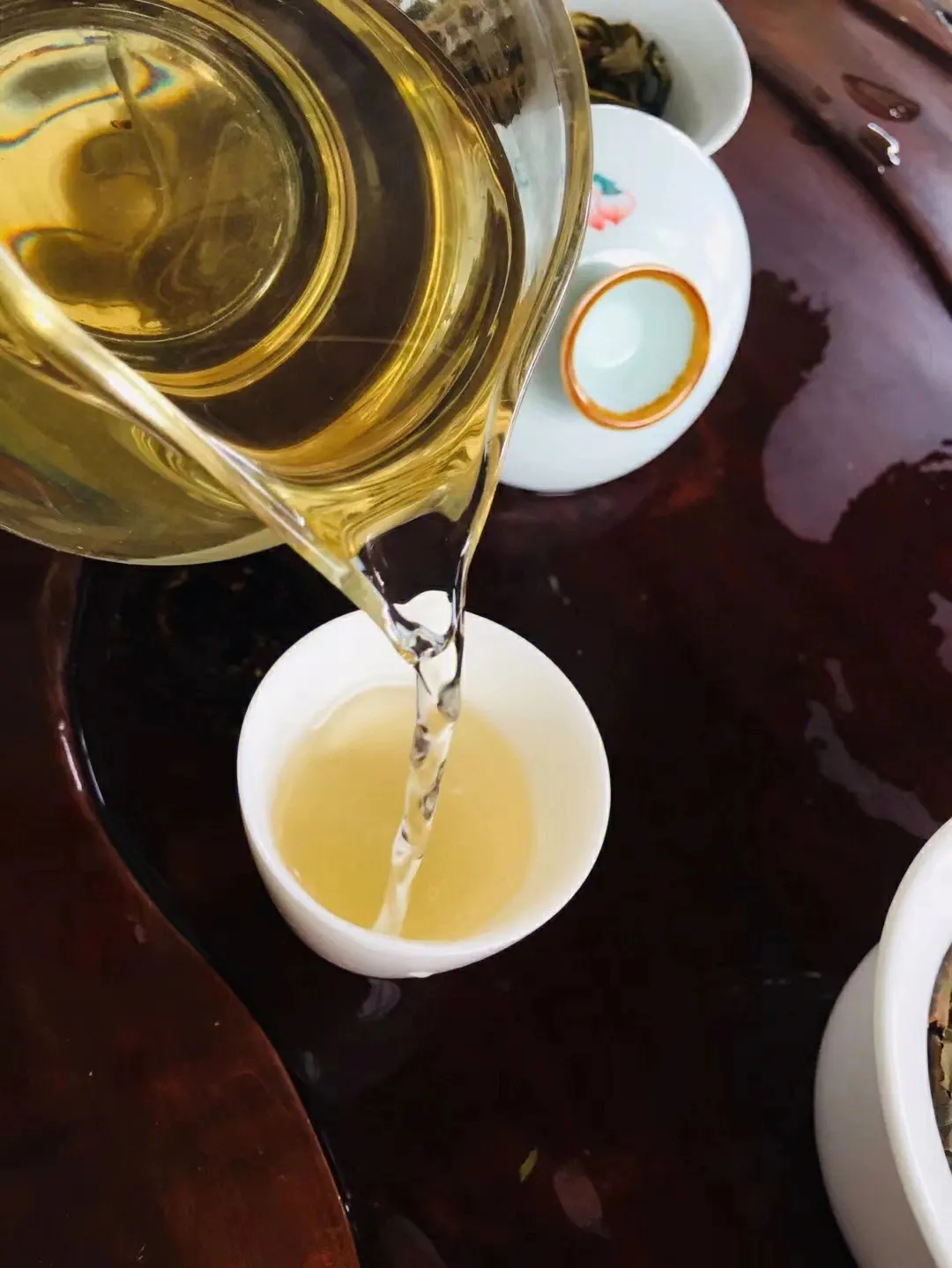 2023年鎮(zhèn)沅老海塘古樹(shù)春茶價(jià)格是多少？