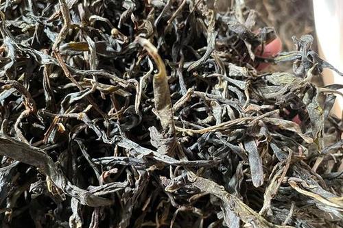 2023年鎮(zhèn)沅老烏山古樹春茶多少一公斤？