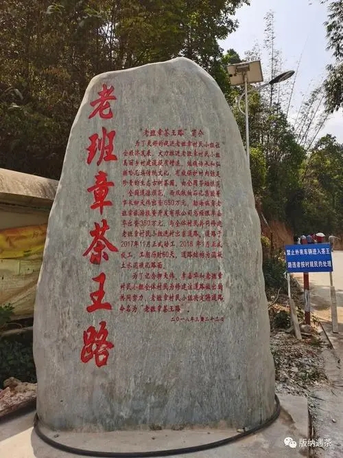 2024年老班章古樹春茶品質如何？