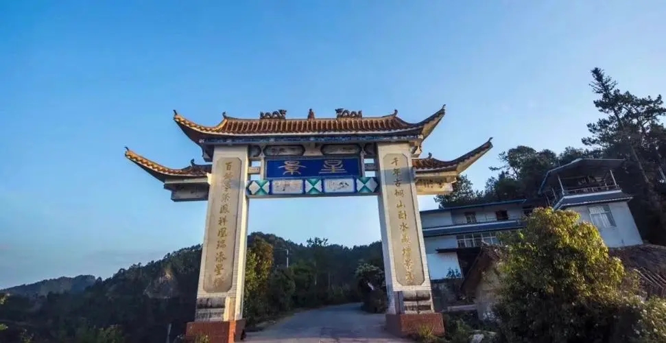 2024年墨江鳳凰窩古樹春茶特點是什么？