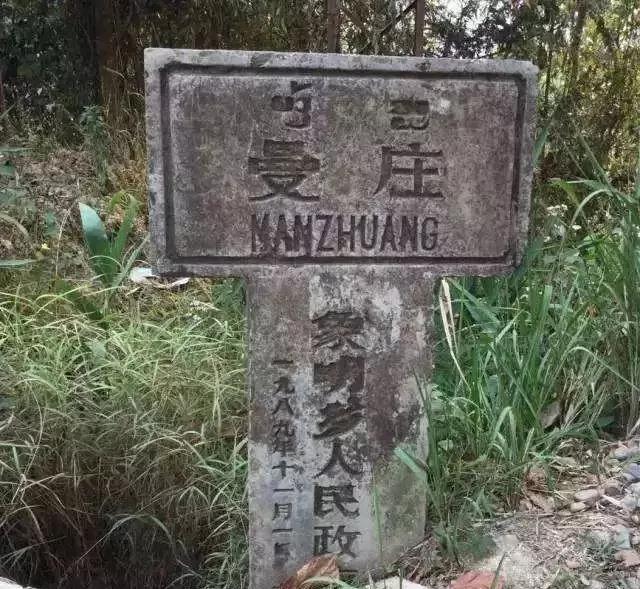 2025年蠻磚古樹春茶價格是多少？