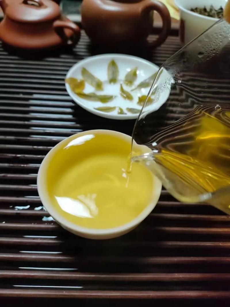 倚邦貢茶，甘甜醇柔